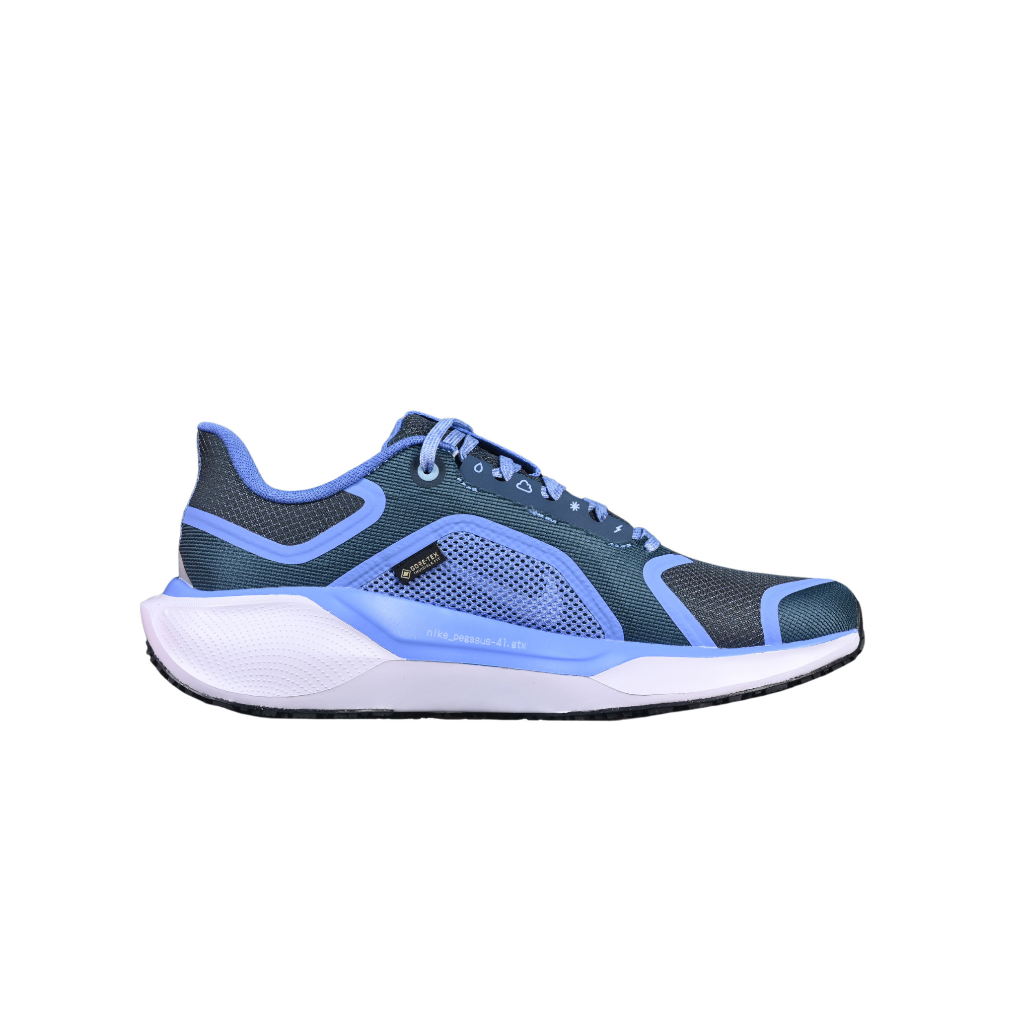Nike Air Zoom Pegasus 41 GTX Blue