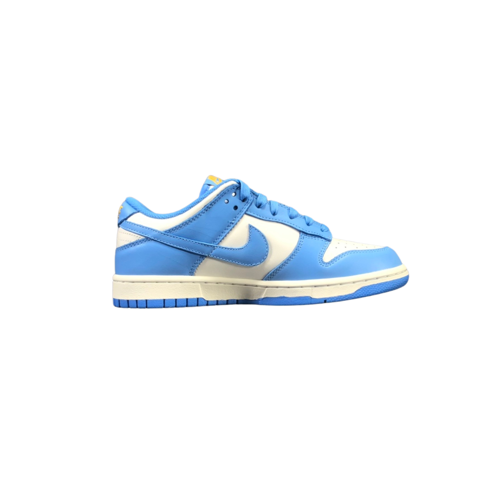 Nike Dunk Low Coast