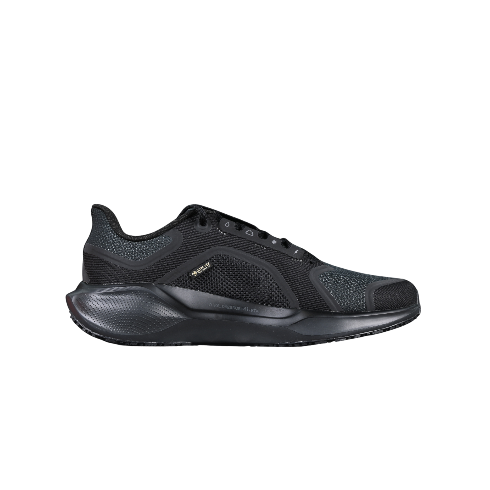 Nike Air Zoom Pegasus 41 GTX Black