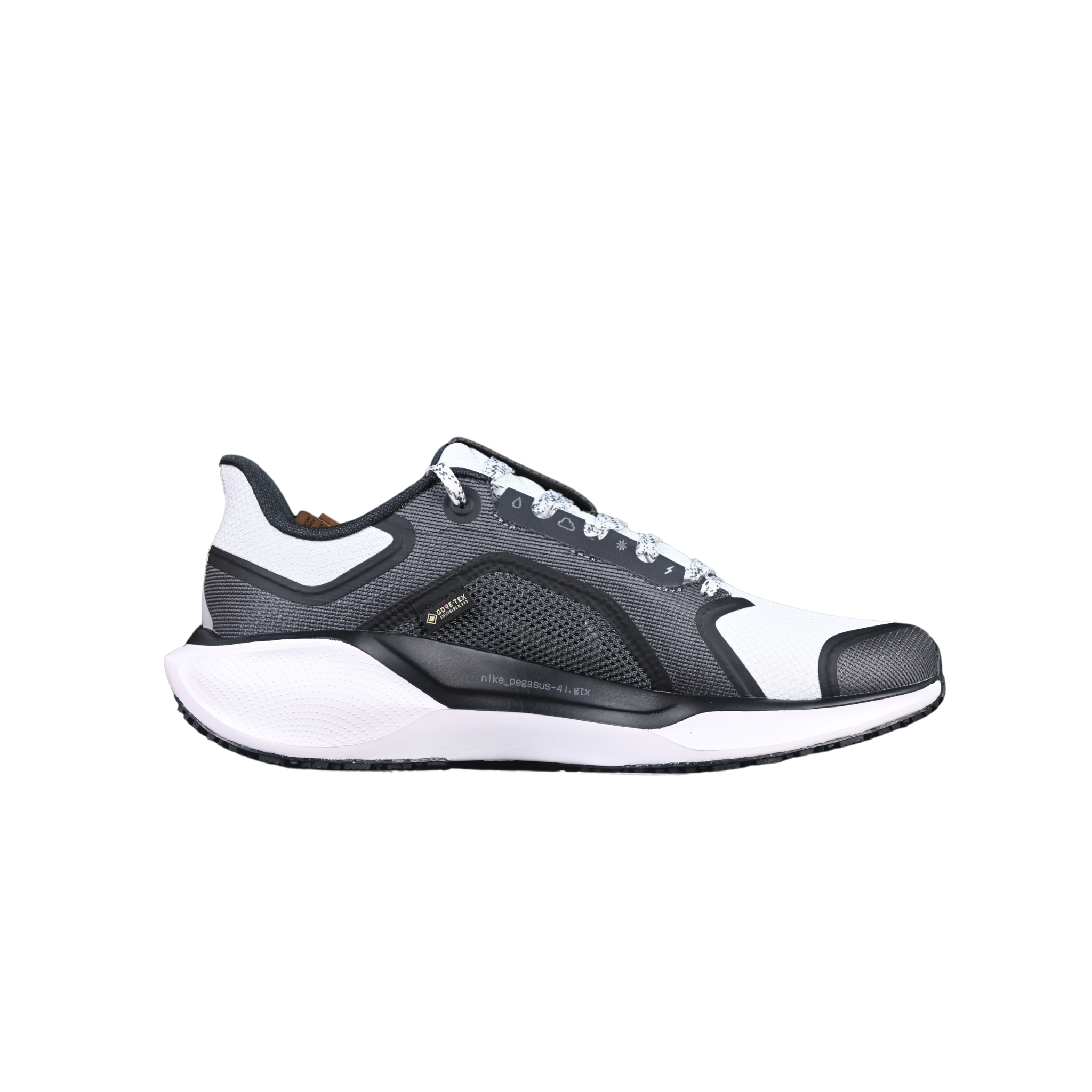 Nike Air Zoom Pegasus 41 GTX Grey