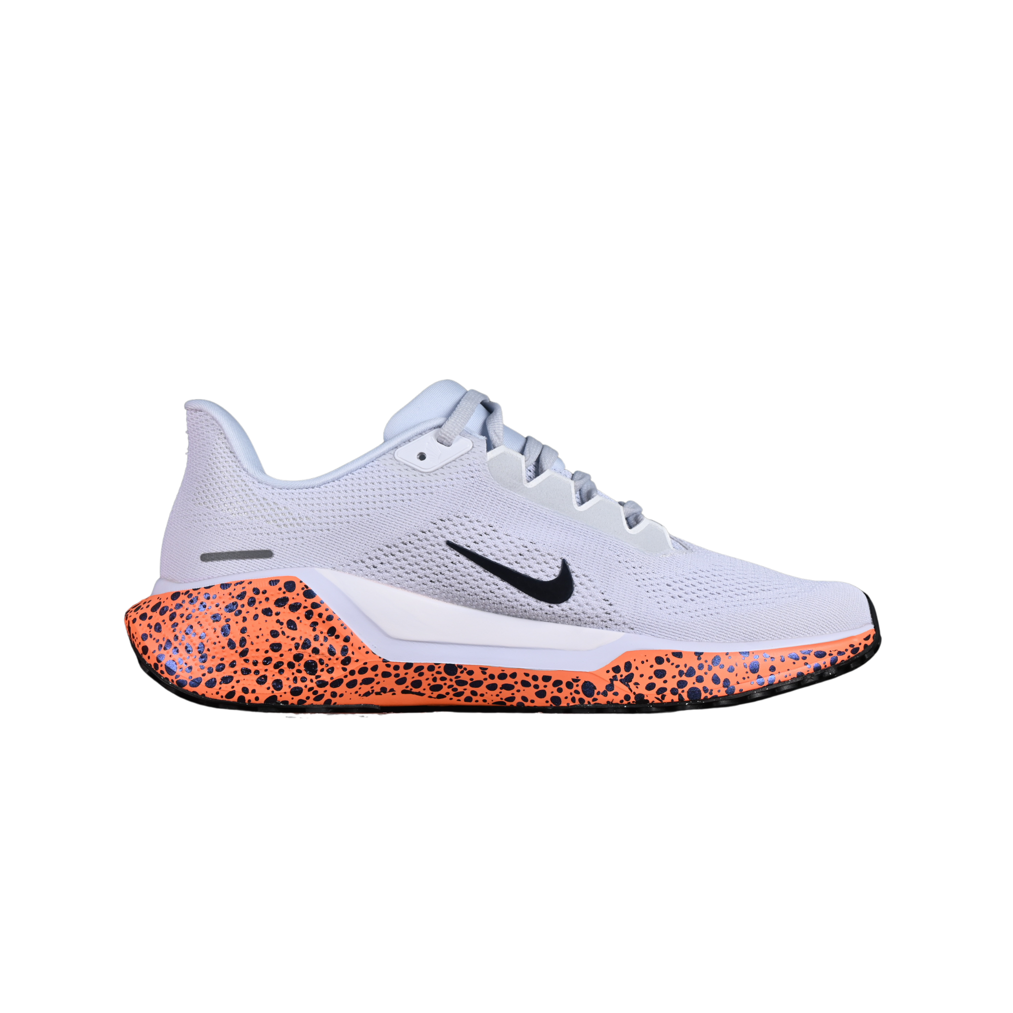 Nike Air Zoom Pegasus 41 Special Edition