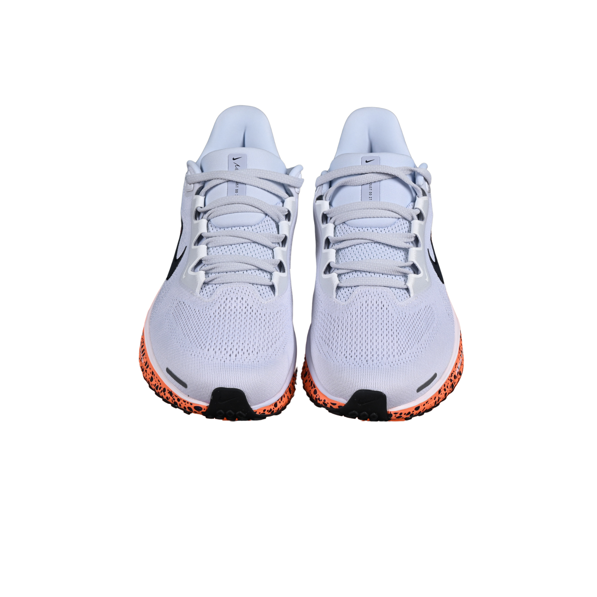 Nike Air Zoom Pegasus 41 Special Edition