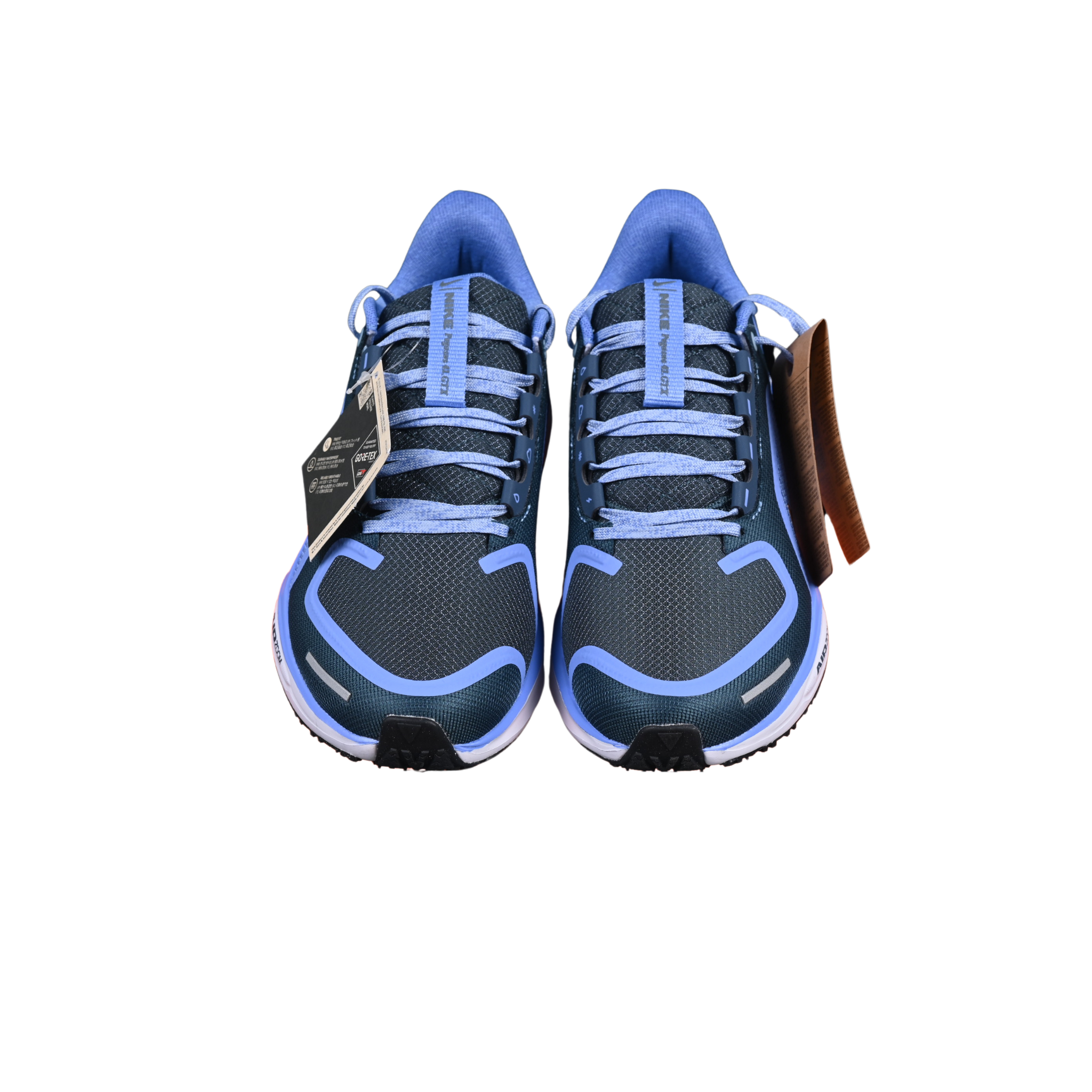 Nike Air Zoom Pegasus 41 GTX Blue