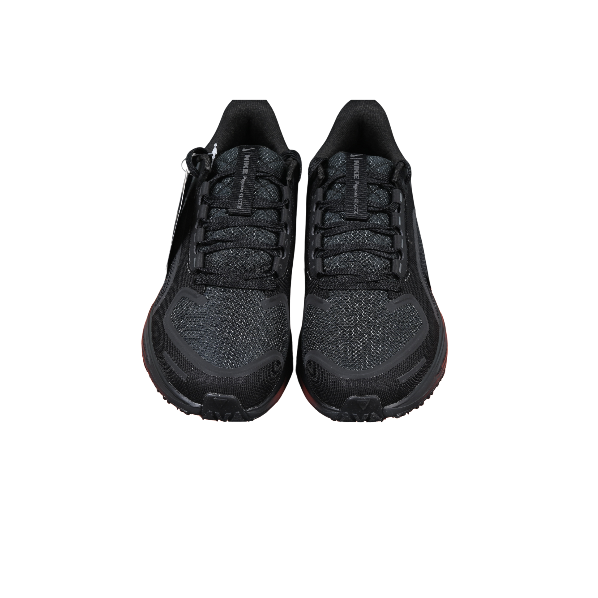 Nike Air Zoom Pegasus 41 GTX Black