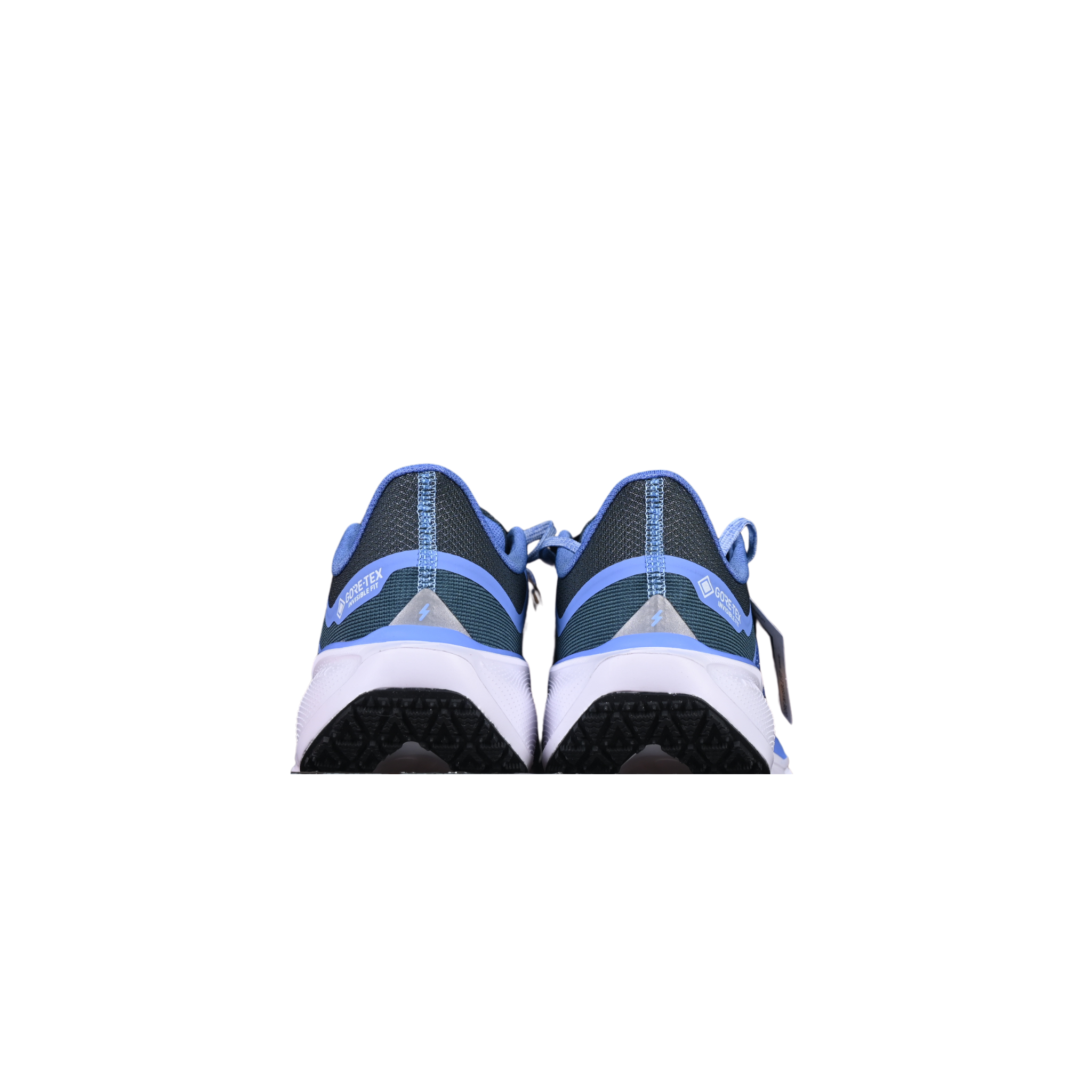 Nike Air Zoom Pegasus 41 GTX Blue