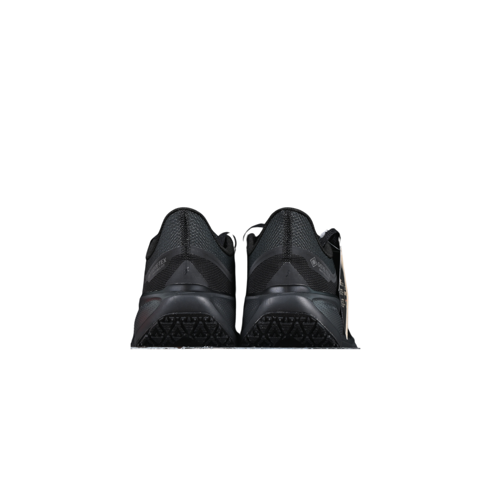 Nike Air Zoom Pegasus 41 GTX Black