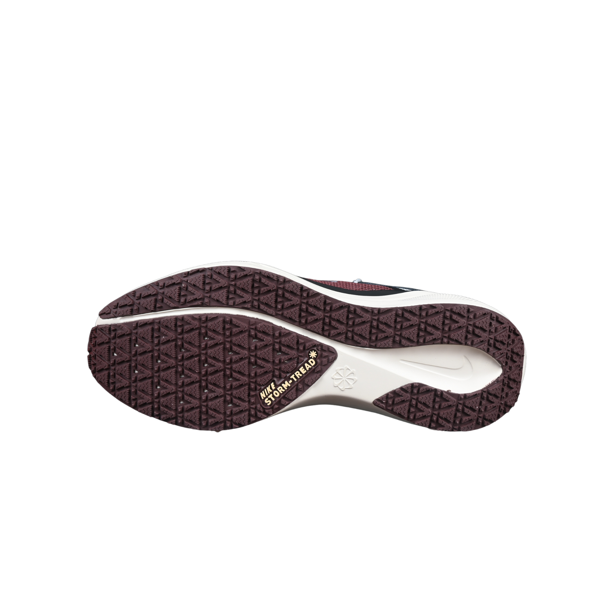 Nike Air Zoom Pegasus 41 GTX Light Blue